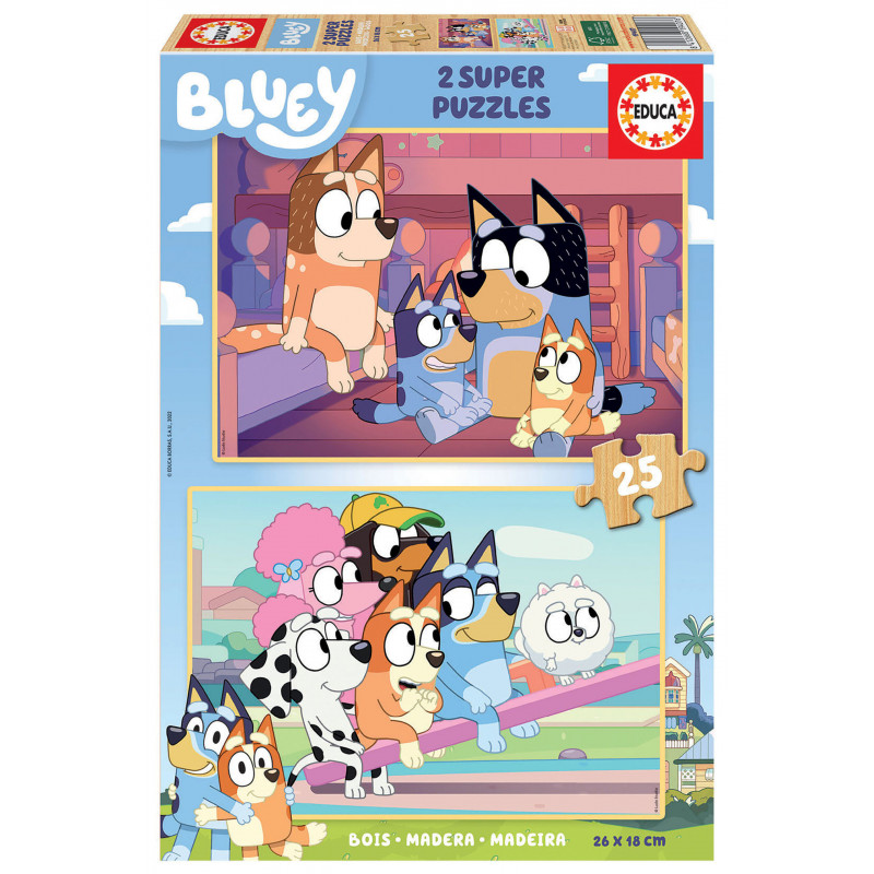 2x25 BLUEY