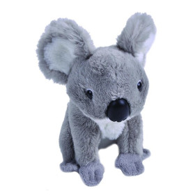 Peluche Pocketkins Koala